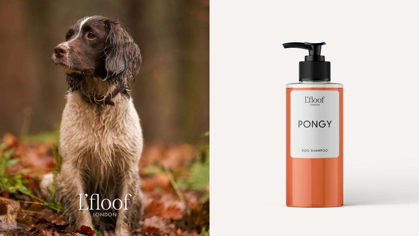 L'floof - Natural Dog Shampoo - Orange/May Chang - 300ml L'floof