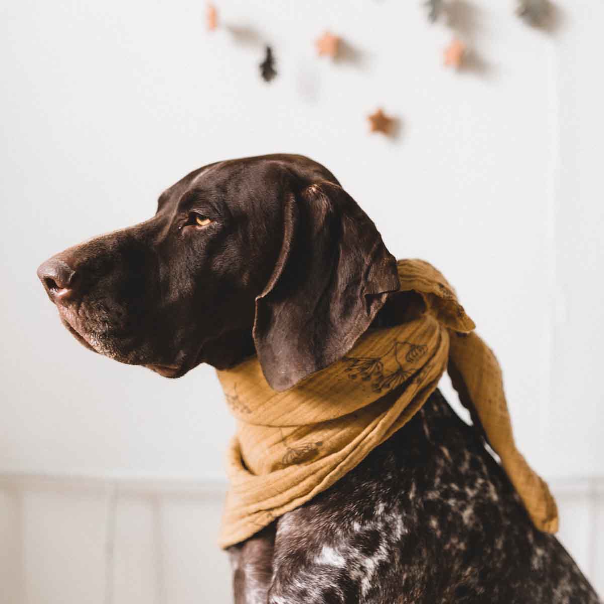 Rose in April - BIANCA SWADDLE OMBRELLE MUSTARD