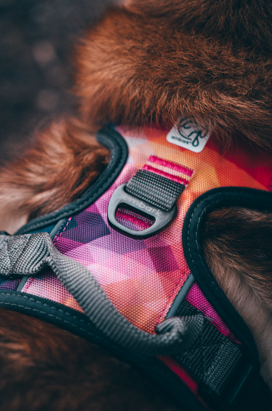 Embark Pets - Urban No Pull Dog Harness - Aurora