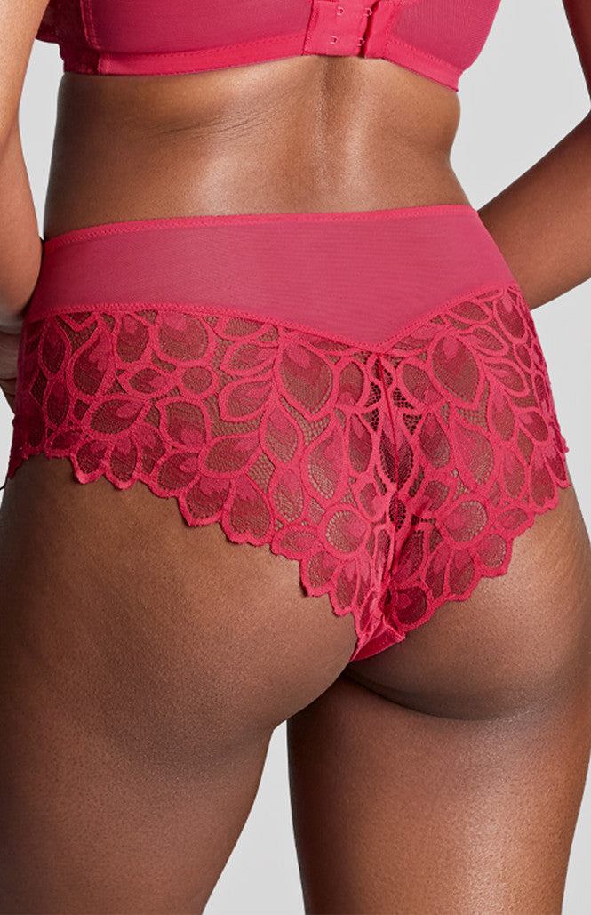 Panache: Deep Brief Allure