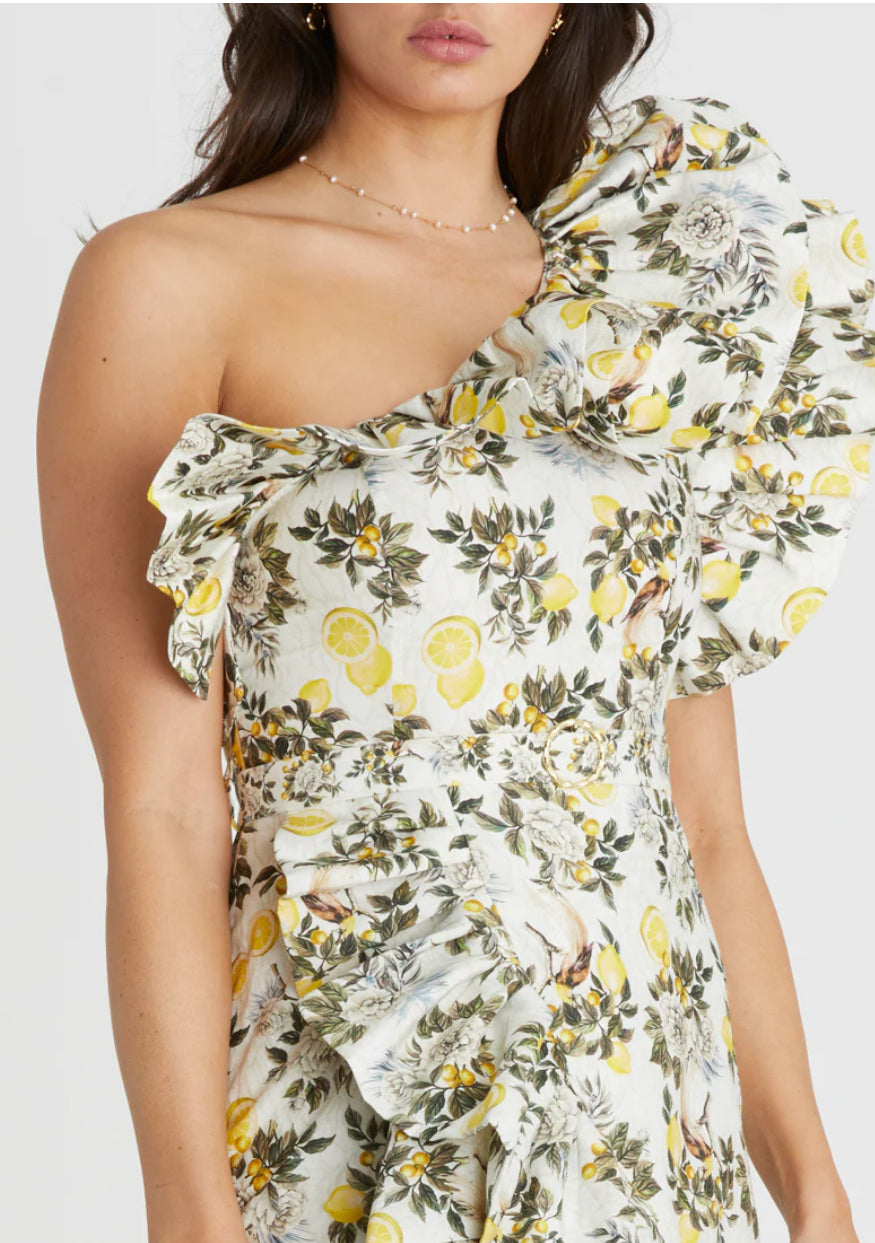 Clementine Giselle one shoulder dress