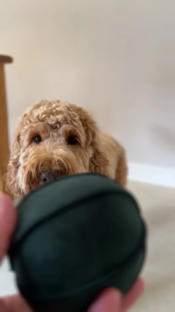 Border Loves Suede, Hardwearing Indoor Dog Ball.