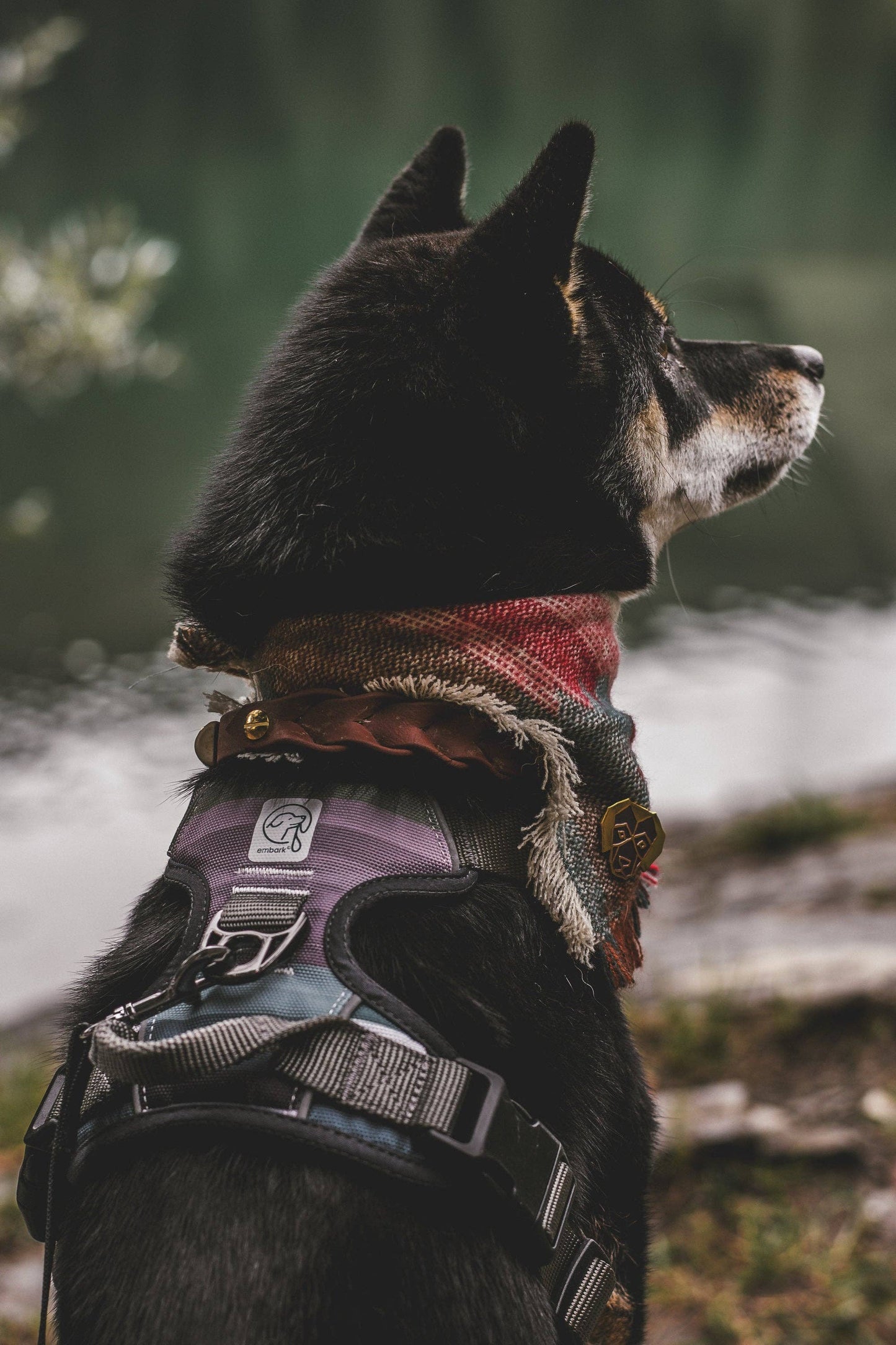Embark Pets - U-H-BA-LG Urban Dog Harness, Sturdy & Comfortable