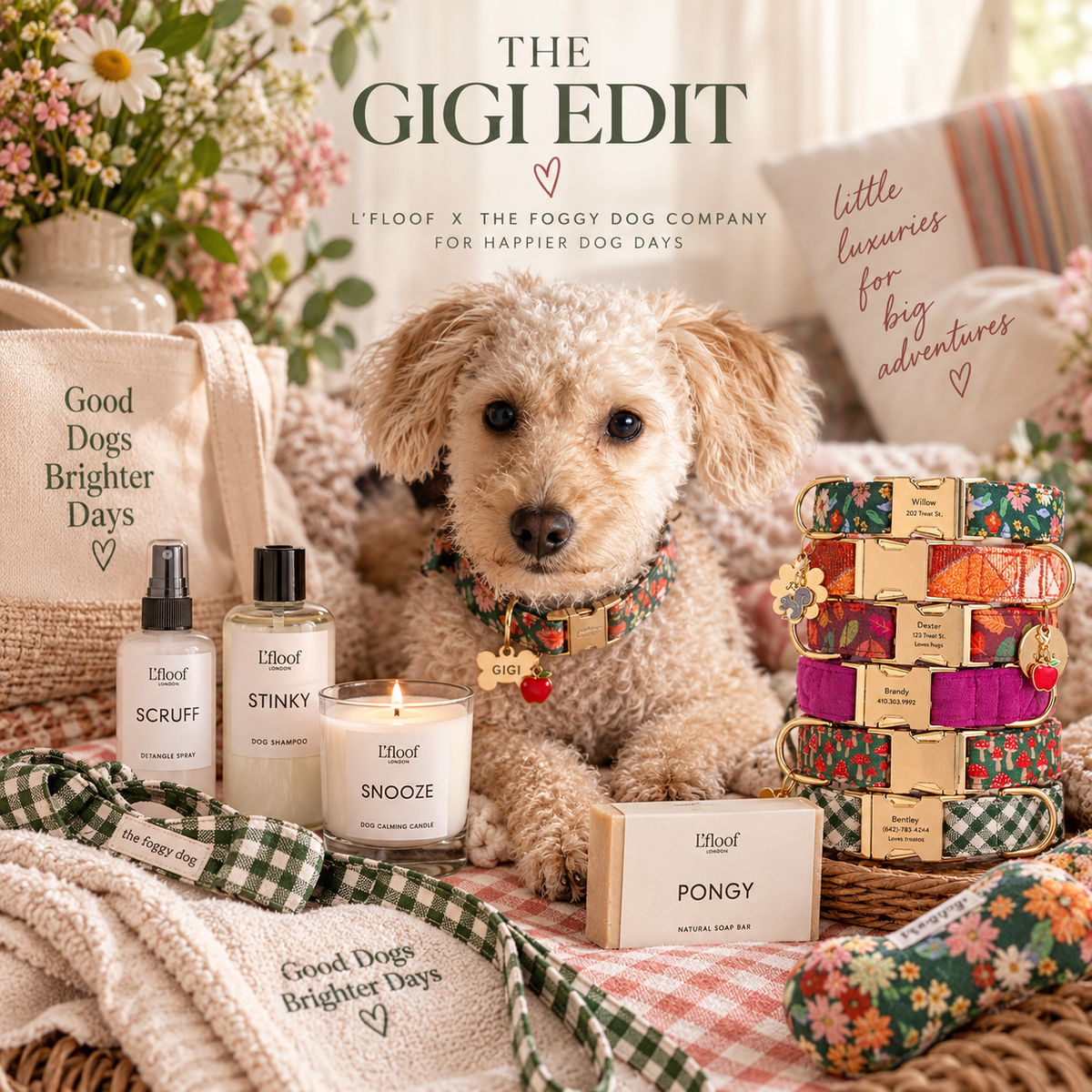 The Gigi Edit