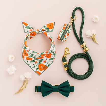 The Foggy Dog - Evergreen Marine Rope Dog Leash