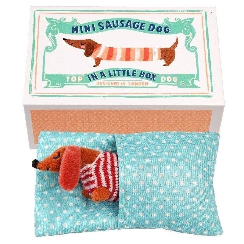 Rex London UK - Mini Sausage Dog In A Little Box