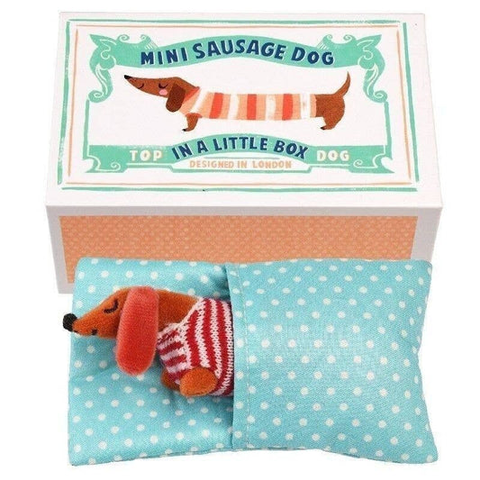 Rex London UK - Mini Sausage Dog In A Little Box