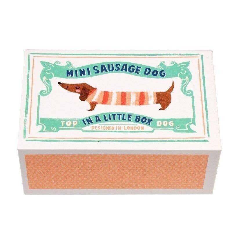 Rex London UK - Mini Sausage Dog In A Little Box