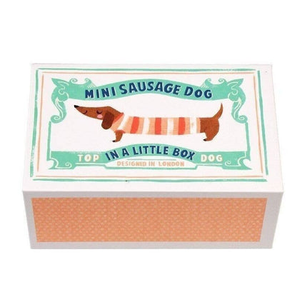 Rex London UK - Mini Sausage Dog In A Little Box