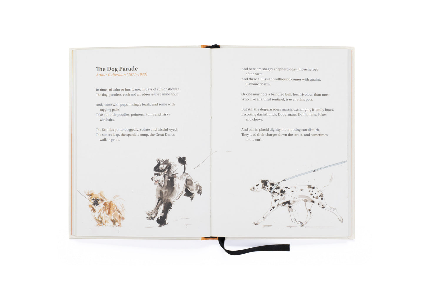 Book Of Dog Poems by Ana Sampson - Hardback.