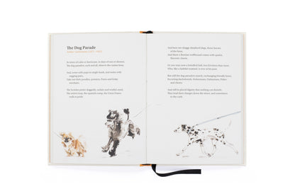 Book Of Dog Poems by Ana Sampson - Hardback.