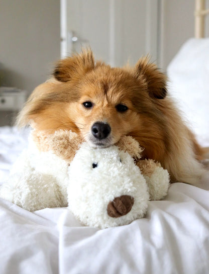 Border Loves Bingley The Gorgeous Plush Squeeky Squidgy Dog Toy