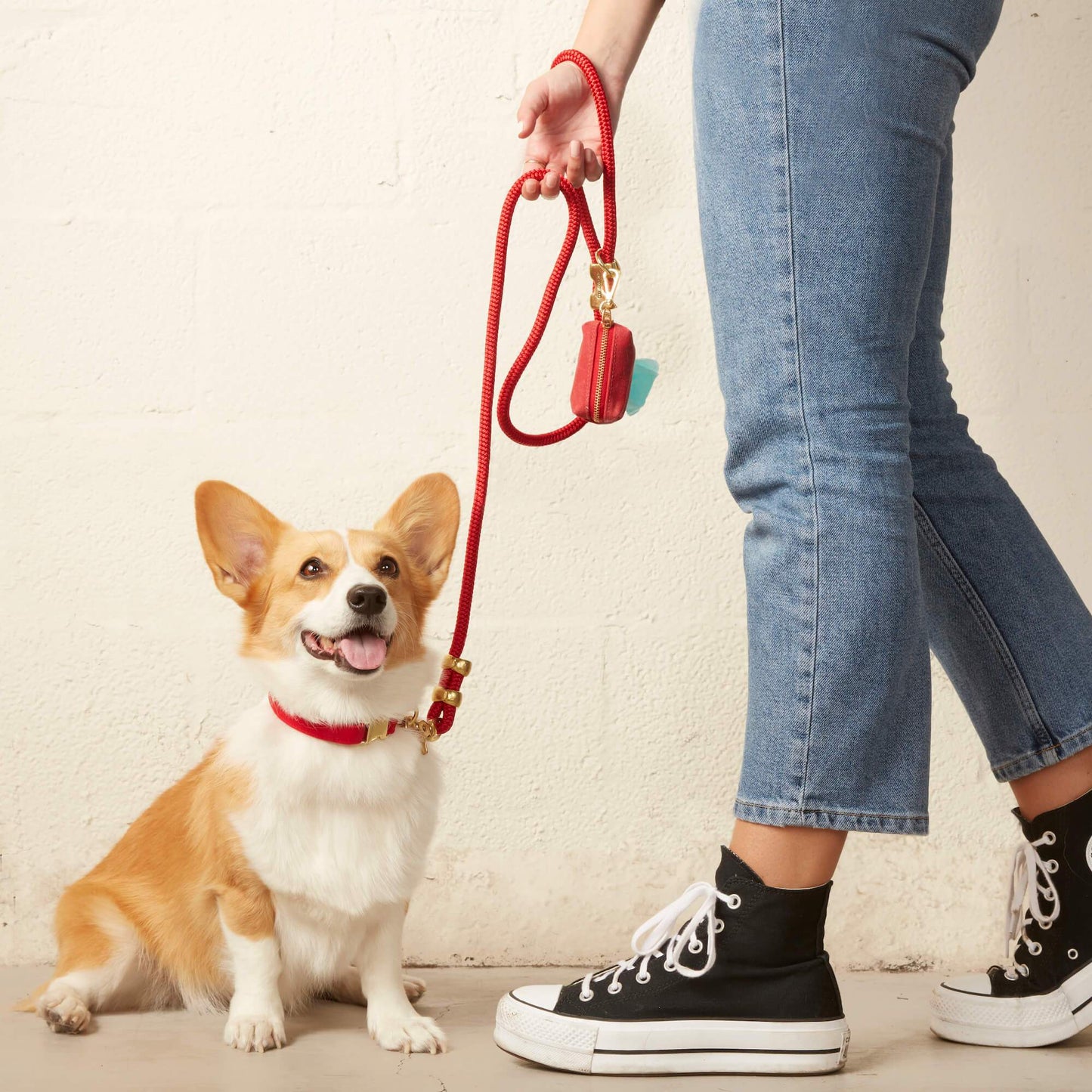 The Foggy Dog - Ruby Valentine's Day Waxed Canvas Poop Bag Dispenser