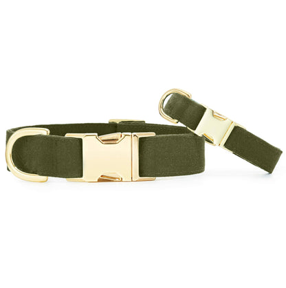 The Foggy Dog - Olive Dog Collar