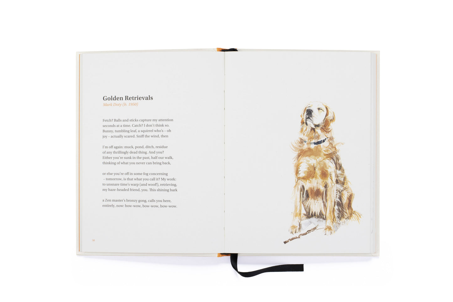 Book Of Dog Poems by Ana Sampson - Hardback.
