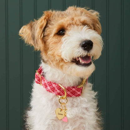 The Foggy Dog - HTH x TFD Katherine Plaid Valentine's Day Dog Collar