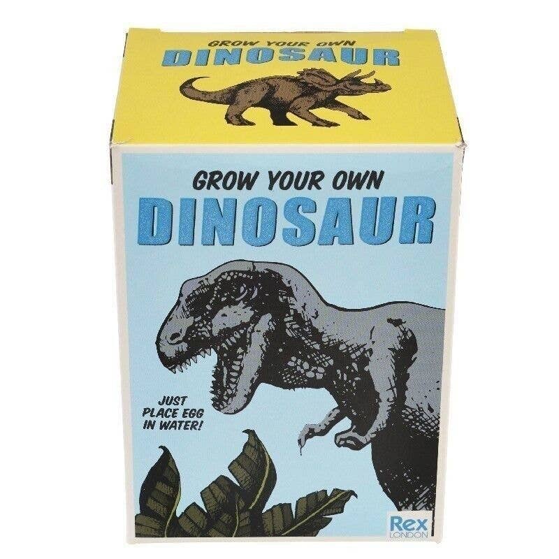 Rex Giant Hatching Dinosaur Egg - Prehistoric Land