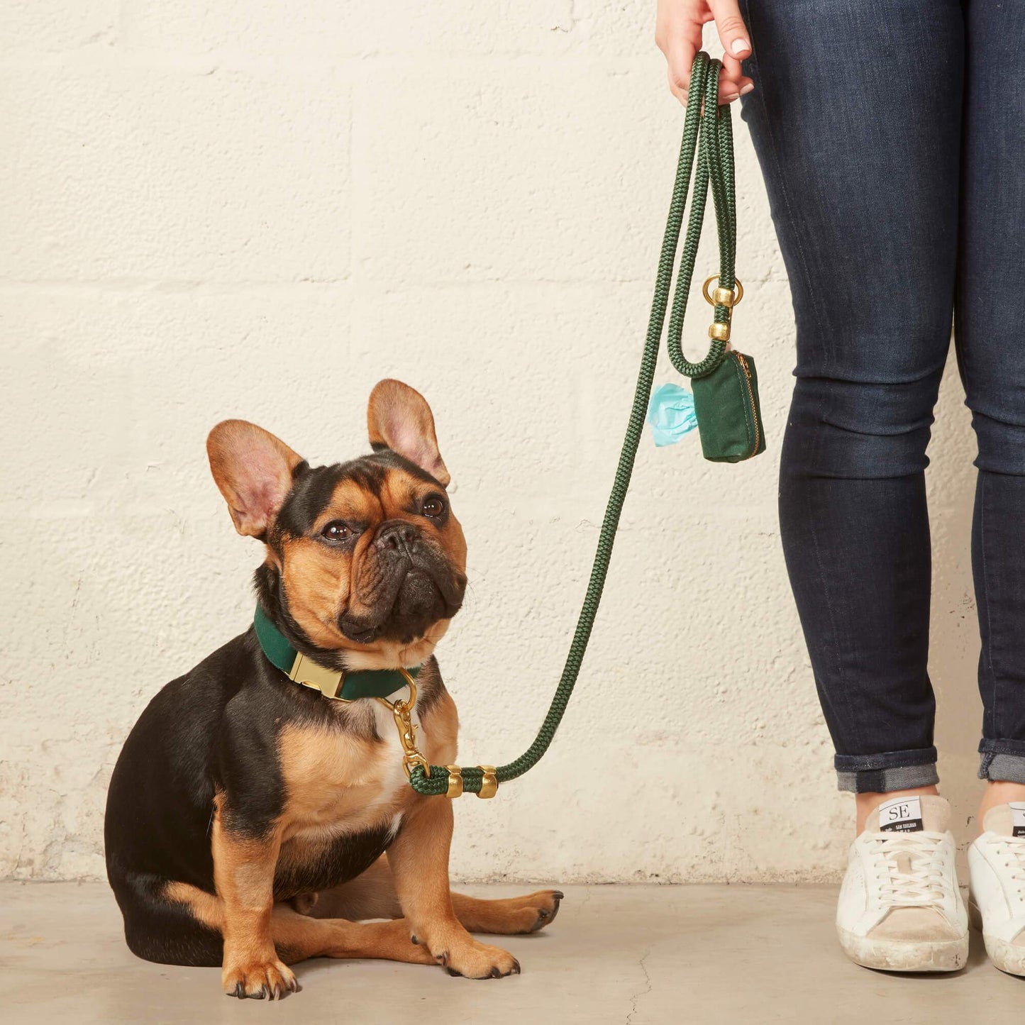 The Foggy Dog - Evergreen Marine Rope Dog Leash