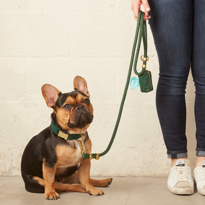 The Foggy Dog - Evergreen Marine Rope Dog Leash