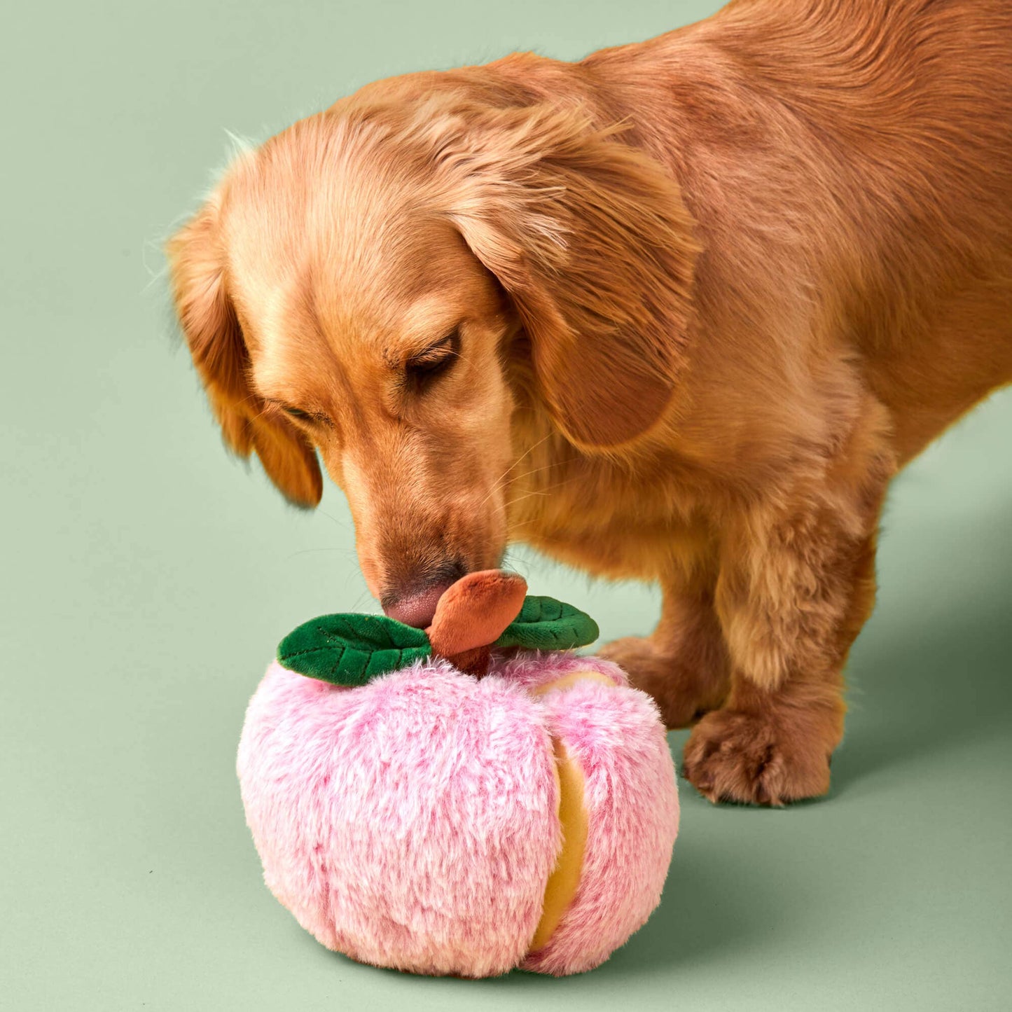 The Foggy Dog - Apple Interactive Snuffle Dog Toy