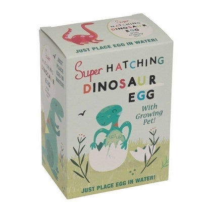 Rex B2B - UK - Hatch Your Own Dinosaur Egg