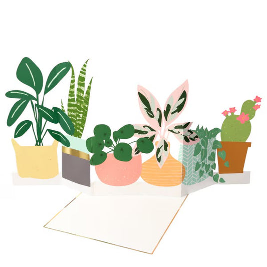 Meri Meri Potted Plant Card