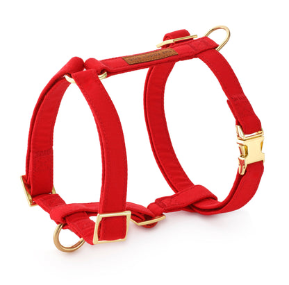 The Foggy Dog - Ruby Dog Harness