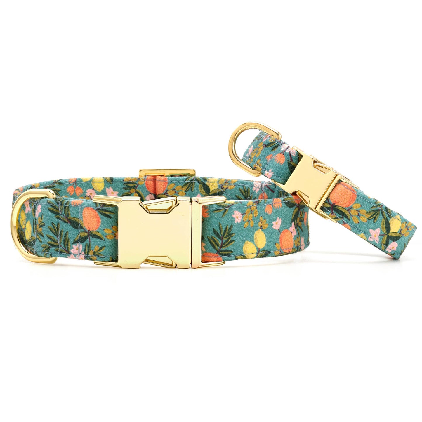The Foggy Dog - Rifle Paper Co. x TFD Citrus Floral Dog Collar