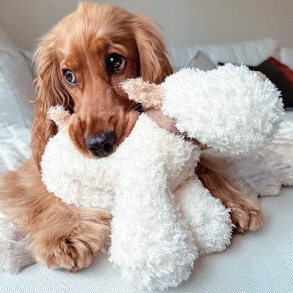 Border Loves Bingley The Gorgeous Plush Squeeky Squidgy Dog Toy