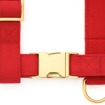 The Foggy Dog - Ruby Dog Harness