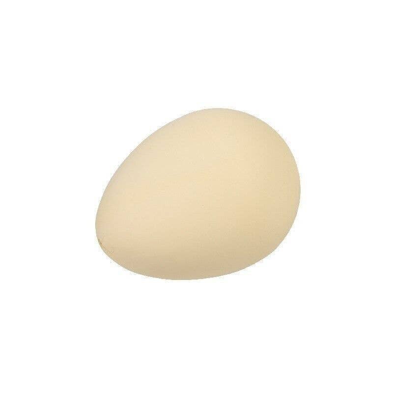 Rex B2B - UK - Hatch Your Own Dinosaur Egg