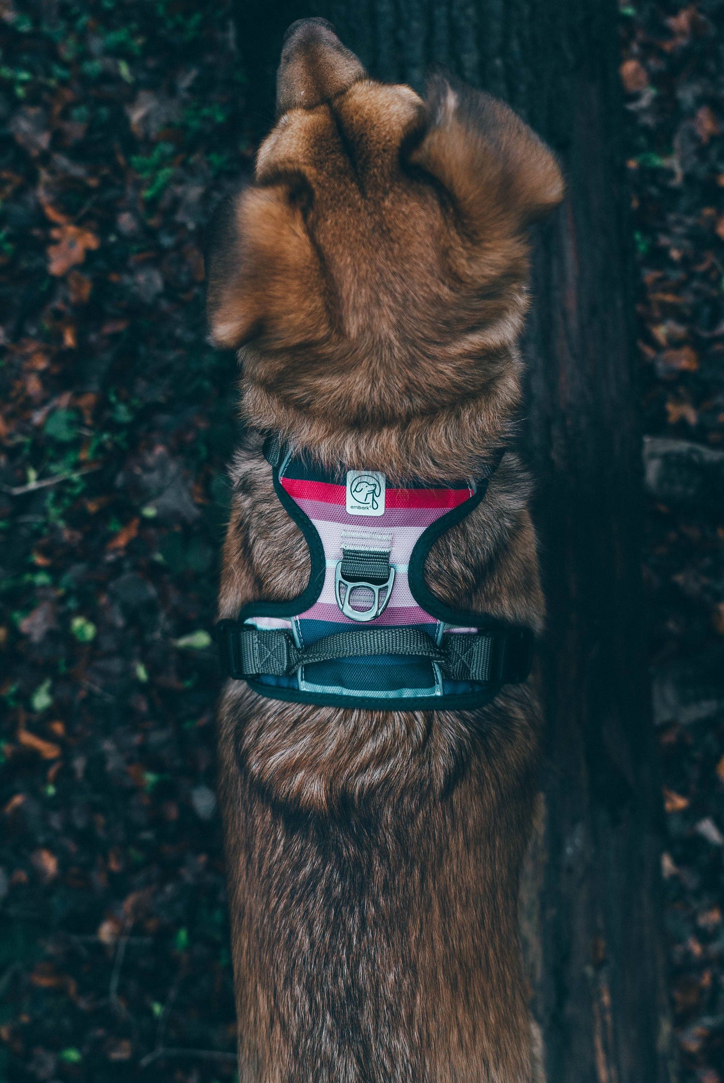 Embark Pets - U-H-BA-LG Urban Dog Harness, Sturdy & Comfortable