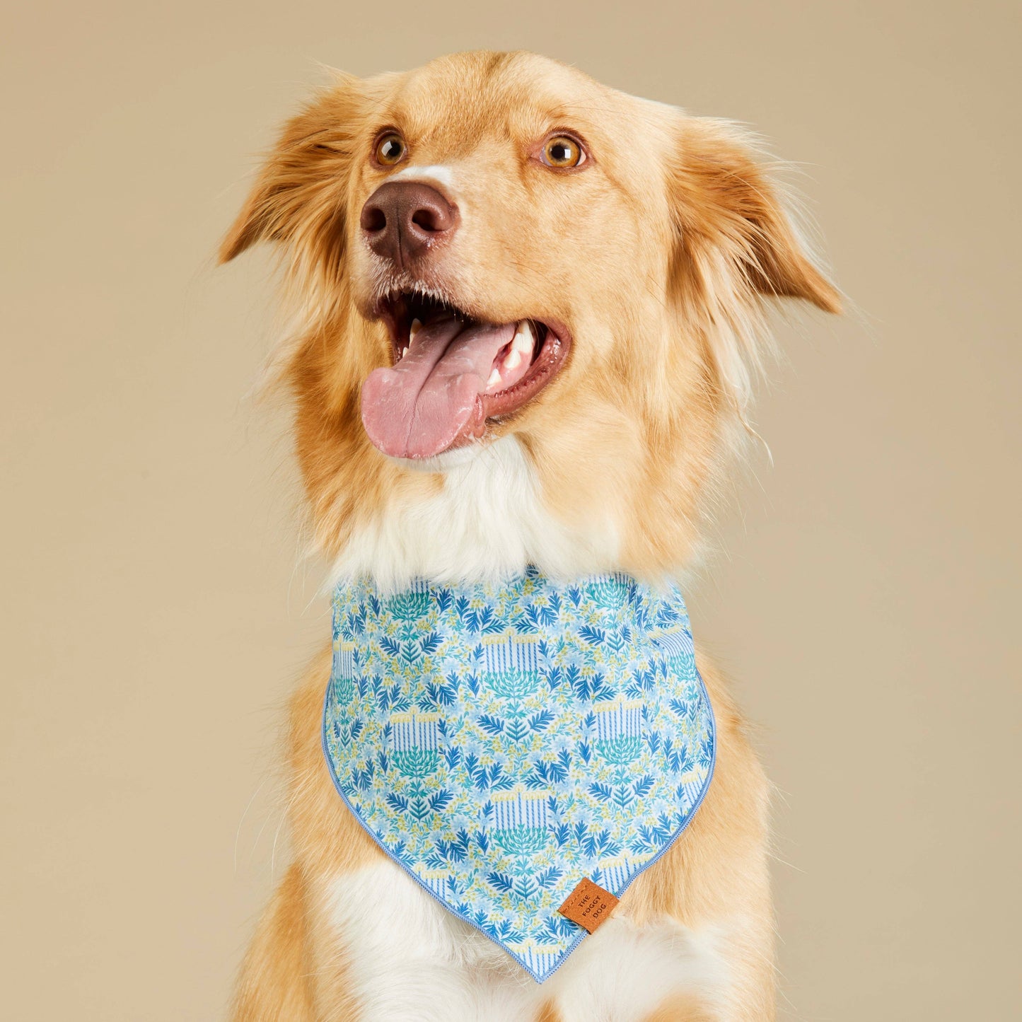 The Foggy Dog - Flora Menorah Dog Bandana