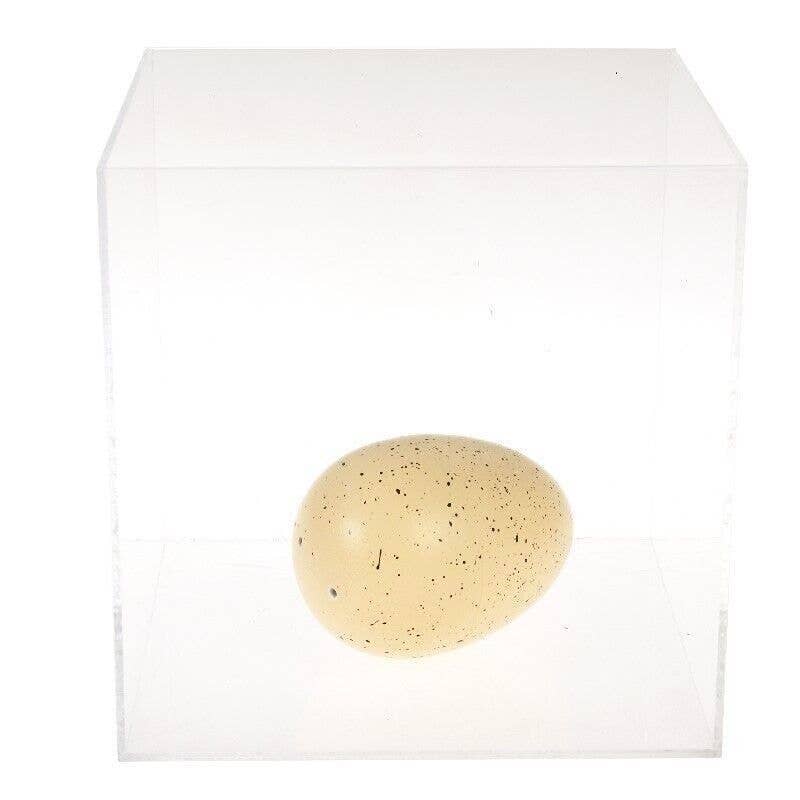 Rex Giant Hatching Dinosaur Egg - Prehistoric Land