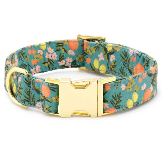 The Foggy Dog - Rifle Paper Co. x TFD Citrus Floral Dog Collar