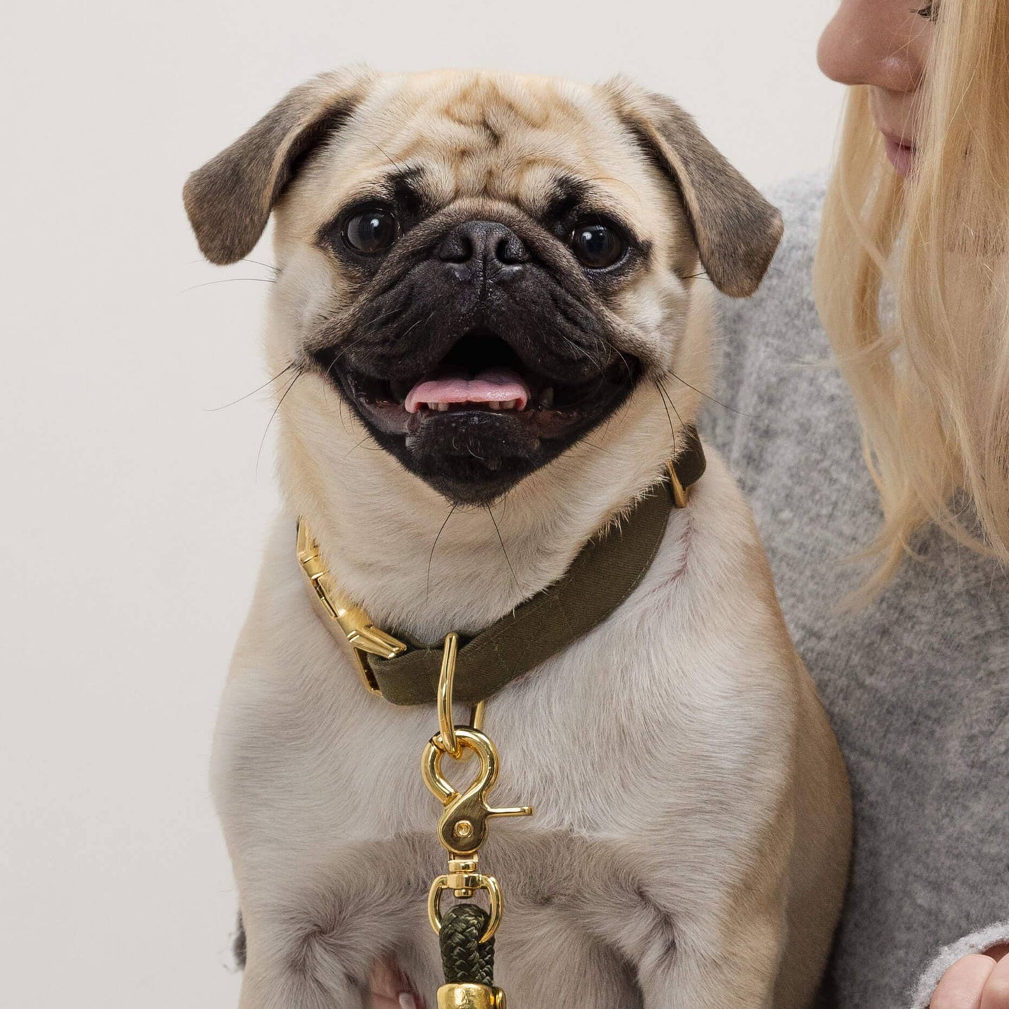 The Foggy Dog - Olive Dog Collar