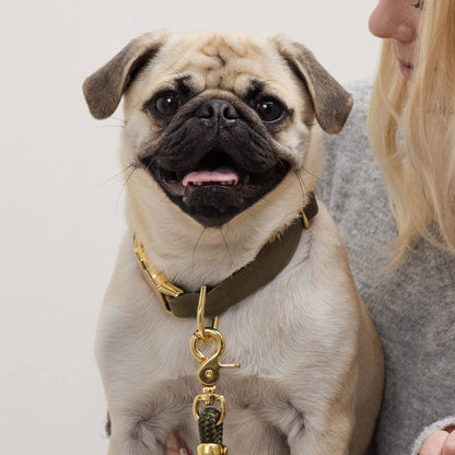 The Foggy Dog - Olive Dog Collar