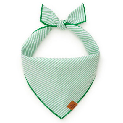 Pre-Order. Due early Feb. The Foggy Dog - Green Seersucker Dog Bandana