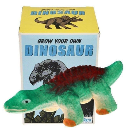Rex Giant Hatching Dinosaur Egg - Prehistoric Land