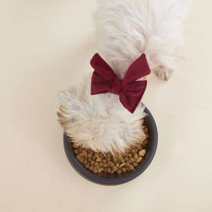 The Foggy Dog - Burgundy Velvet Valentine's Day Lady Dog Bow