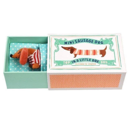 Rex London UK - Mini Sausage Dog In A Little Box