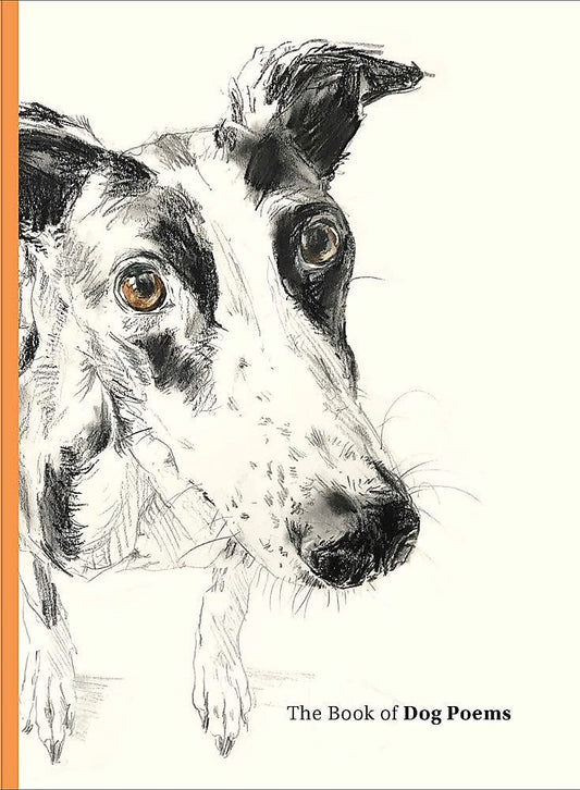 Book Of Dog Poems by Ana Sampson - Hardback.