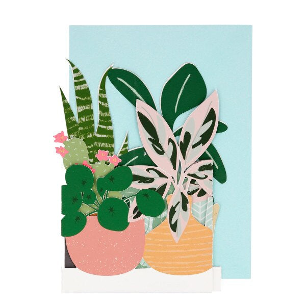 Meri Meri Potted Plant Card