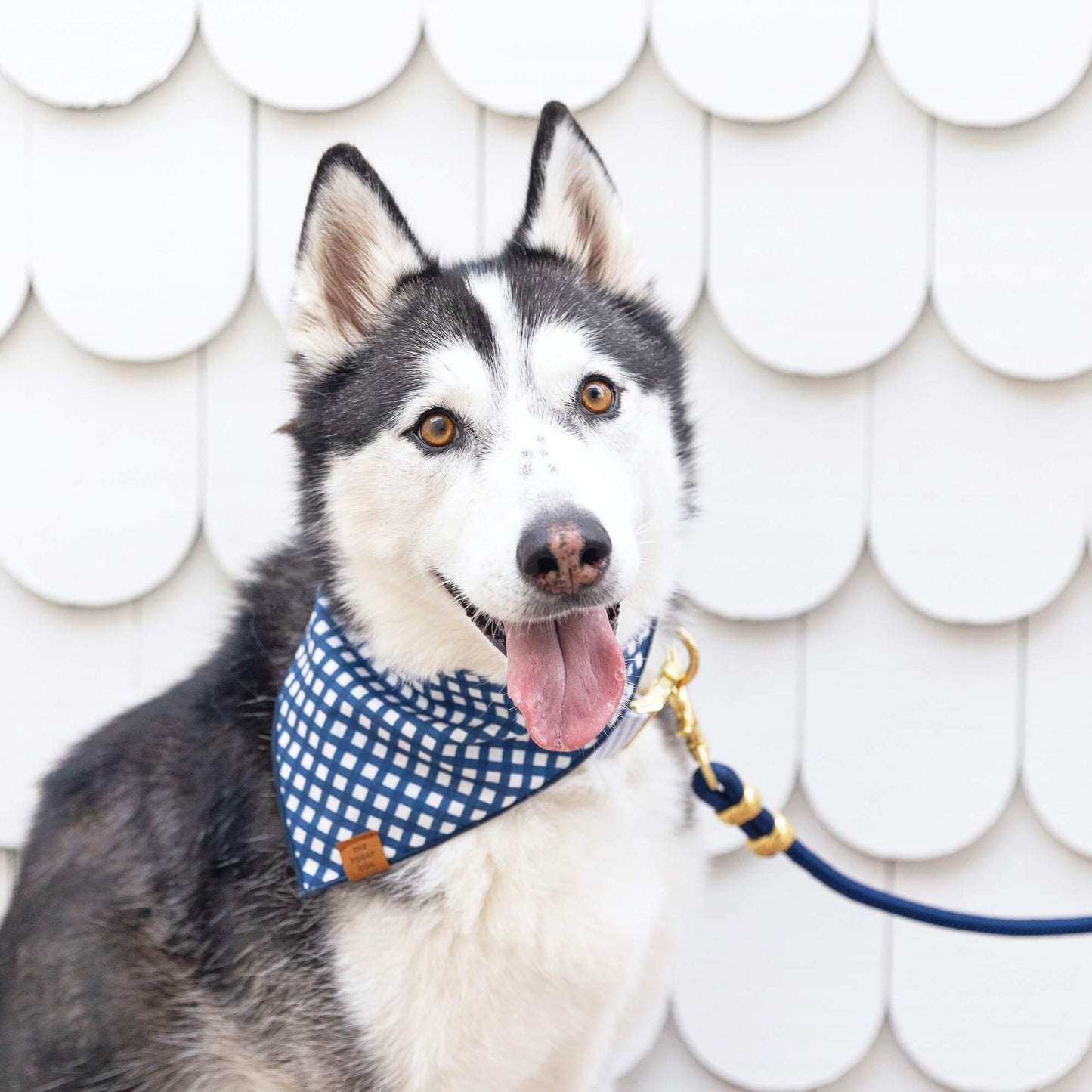 The Foggy Dog - Ocean Marine Rope Dog Leash