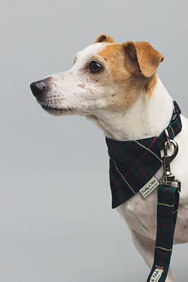 Barkley and Fetch - Green/Navy  Tartan Dog Bandana