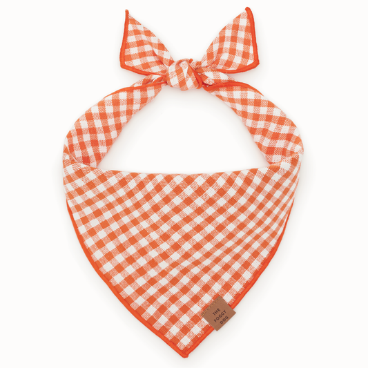 The Foggy Dog - Cider Gingham Dog Bandana