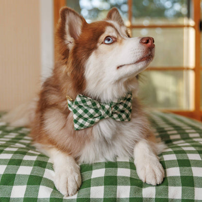 The Foggy Dog - HTH x TFD Mini Gingham Hunter Green Dog Bow Tie