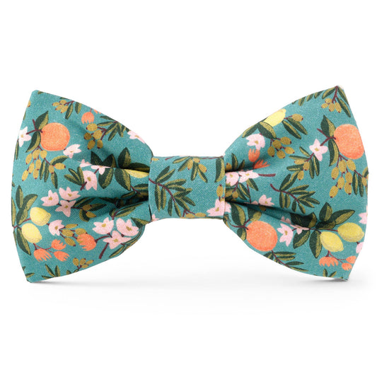 The Foggy Dog - Rifle Paper Co. x TFD Citrus Floral Dog Bow Tie