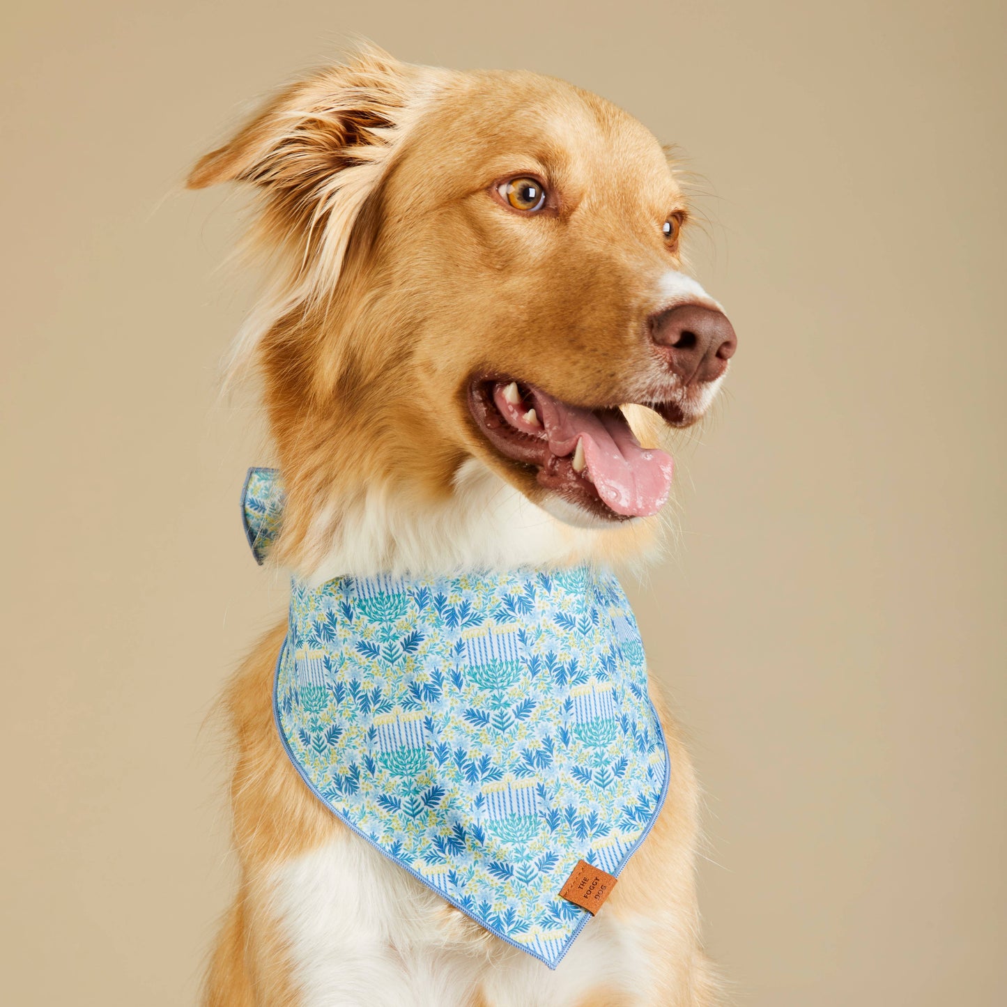 The Foggy Dog - Flora Menorah Dog Bandana