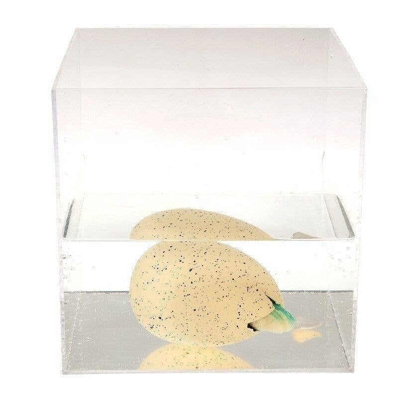 Rex Giant Hatching Dinosaur Egg - Prehistoric Land